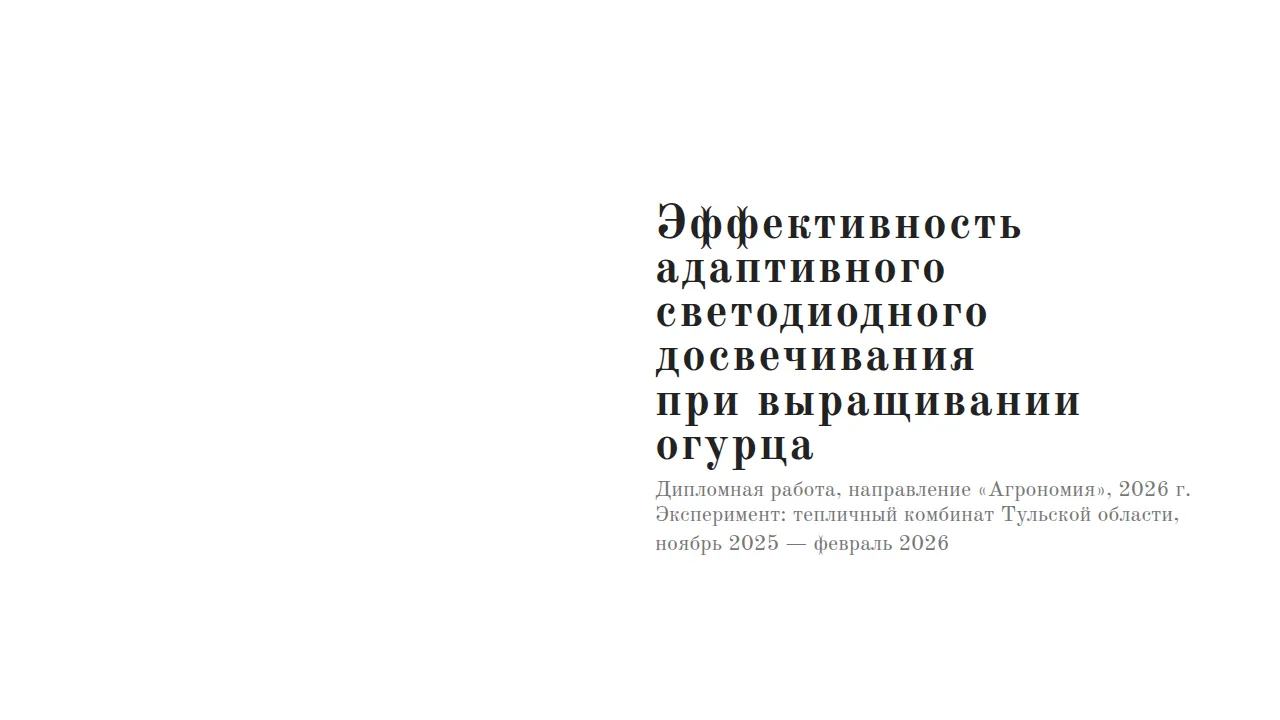 Слайд «Эффективность адаптивного светодиодного досвечивания при выращивании огурца»